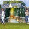 TRIOSK Bamboo Forest Garden Privacy Screen, 250 x 180 cm view 2