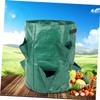 BESPORTBLE 2-Piece PE Plant Grow Bags for Strawberries, Breathable Planting Bags with Side Openings for Vertical Gardening and Root Development view 3
