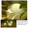 CHAOJIART Magnolias on Gold Velvet, Canvas Wall Art, 60 x 120 cm, Frameless view 4