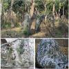 SDLLG Thickened 210D Woodland Camouflage Net, 15 x 16 m view 3