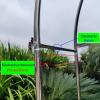 Steel Rose Arch Pergola Trellis Garden Gate for Climbing Plants, 1.2 x 2.3 m view 2