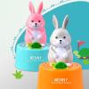 Uixxducc Cat Kitchen Timer, Mechanical 60-Minute Countdown Timer, Funny Cartoon Animal Timer (Blue Rabbit) view 2