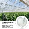 Niiyen 6-Piece Tomato Support Hook Set with 15 m String view 3