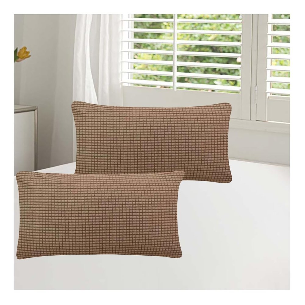 Set of 2 Velvet Decorative Pillow Covers with Zipper