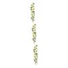 PRETYZOOM 3-Piece Realistic Cosmos Flowering Vines view 1