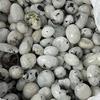 CZAOINCU Natural Quartz Room Decor, Polished Tumbled White Moonstone Crystals, 200 g, 2025 mm view 2