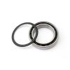 2-Pack 18307 Hybrid Ceramic Bearings, 18 x 30 x 7 mm, ABEC-7, 18307RS Si3N4 view 1