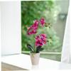 Comebachome Artificial Orchid in Pot, 15.7-Inch Realistic Faux Orchid, Purple view 4