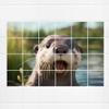 GRAZDesign Sea Animal Tile Sticker Tile Picture for Bathroom & Kitchen - 10 x 10 cm / 124 x 72 cm view 1
