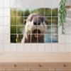 GRAZDesign Sea Animal Tile Sticker Tile Picture for Bathroom & Kitchen - 10 x 10 cm / 124 x 72 cm view 4