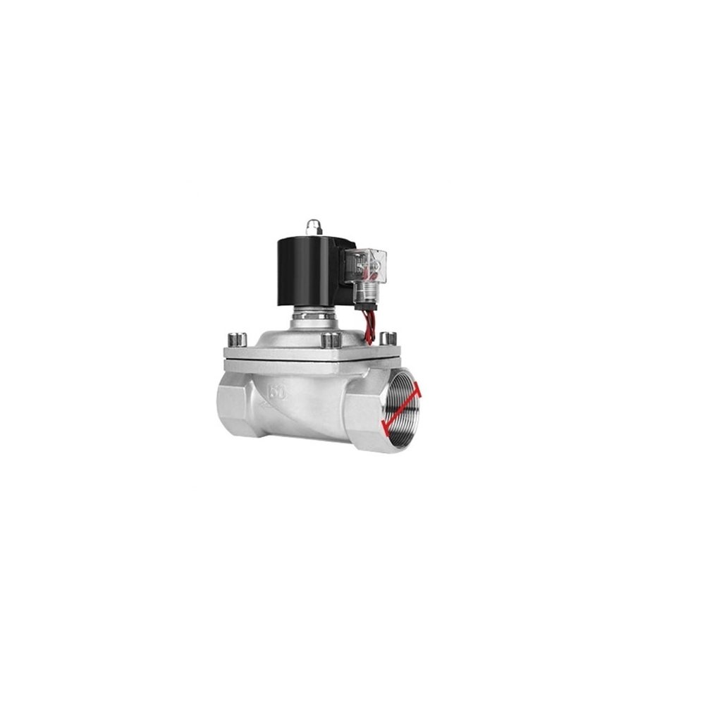 CAAUYXZW 2-Inch Stainless Steel Solenoid Valve, Normally Closed, Waterproof, 220 V/110 V/24 V/12 V, Fully Enclosed Coil (Color: Bsp-24vac-epdm-seal, Size: 2 Inch)