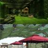 Customizable Camouflage Net for Privacy, Shade, Hunting & Camping view 3