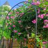 Metal Rose Arch Pergola Trellis, W80–350 cm, H220–230 cm, Black, W80 x 200 cm view 2