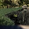 Becool Fish Jungle Camouflage Net, 5 x 20 m view 4