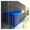 IBOWZ Canvas Fish Pond Liner, 0.5 mm PVC Pool for Saltwater Fish view 2