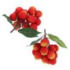 2-Piece Artificial Foam Lychee Decoration for Displays view 1