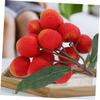 2-Piece Artificial Foam Lychee Decoration for Displays view 2