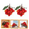 2-Piece Artificial Foam Lychee Decoration for Displays view 4