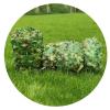 Army Camouflage Net, Jungle Pattern, Privacy and Shade Cover, 8.5 x 13 m view 1