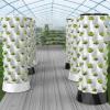 DDNGEJ Hydroponic Tower Growing System for Indoor Herbs view 4