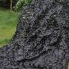 Camouflage Net, Sunshade Net for Living Room Blinds, 10 x 8 m view 3