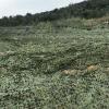 GueTTO Woodland Camouflage Net, UV-Resistant, 6 × 10 m / 19.7 × 32.8 ft view 1