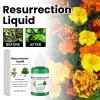 Diarypiece Plant Nutrients, 50 mL Resurrection Liquid view 2