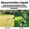 Diarypiece Plant Nutrients, 50 mL Resurrection Liquid view 4