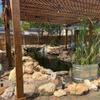 Flexible HDPE Rubber Pond Liner, 0.12 mm, Black, 2x12 m to 10x20 m, for Koi Ponds and Streams (4x7 m) view 2