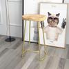 LIUNJHUY Gold Bar Stool, Simple Industrial Style, Breakfast Stool for Home and Kitchen, Seat Heights 45 cm, 65 cm, 75 cm (45 cm) view 4