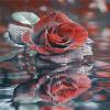 Rose Paint by Numbers Kit for Adults and Kids, DIY Canvas Acrylic Painting, 30 x 40 cm, Unframed view 1