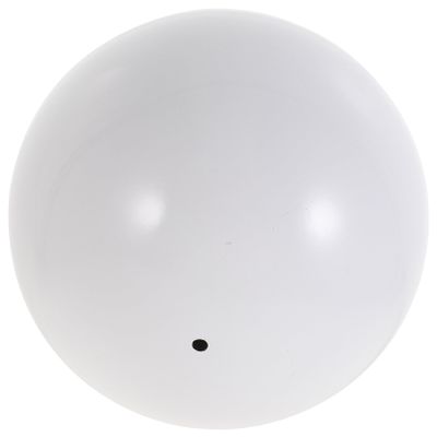 WANGHAHA Reflective Garden Globe, Stainless Steel Mirror Ball