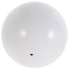 WANGHAHA Reflective Garden Globe, Stainless Steel Mirror Ball view 1