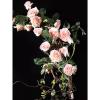 LRREU Artificial Flower Vines for Wedding Decor, UV-Resistant, Off White view 3