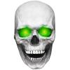 yeeplant Horror Full-Face Creepy Lifelike Cosplay Face Cover, Funny Realistic Light-Up Scary Novelty for Women, Festivals, and Halloween view 3