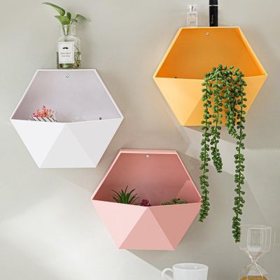 Derefine Geometric Hexagon Wall-Mounted Planter Shelf, White