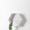 Derefine Geometric Hexagon Wall-Mounted Planter Shelf, White view 4