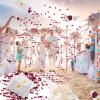 Mbsomnus Wedding Flower Confetti Set, 150 g Dried Rose Petals view 2
