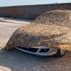 Sand Camouflage Net for Decoration and Sun Shade, 11 x 12 m view 1