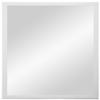 PrimeLuxe Wall Mirror 17 x 22 cm (Outer Dimensions), Pine White view 2