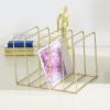 Magazine File Holder, Office Organizer for Magazines and Books, Gold, 2-Piece Set view 4