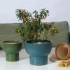 GRFIT Tall White Ceramic Flower Pot, Size L view 3
