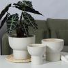 GRFIT Tall White Ceramic Flower Pot, Size L view 4