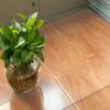 Transparent Hard-Floor Chair Mat, 70 x 160 cm view 4