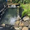 Janeepoch HDPE Pond Liner, Flexible Membrane for Garden Ponds, Fish Ponds, Homes and Aquaculture, Fish- and Plant-Friendly Pool Membrane (6 x 8 m / 19.7 x 26.2 ft) view 2