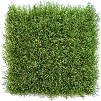 KUNSTRASENWELT Flair 630 Artificial Grass, 30 mm, 1 m x 1 m