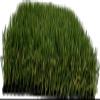KUNSTRASENWELT Flair 630 Artificial Grass, 30 mm, 1 m x 1 m view 3