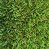 KUNSTRASENWELT Flair 630 Artificial Grass, 30 mm, 1 m x 1 m view 4