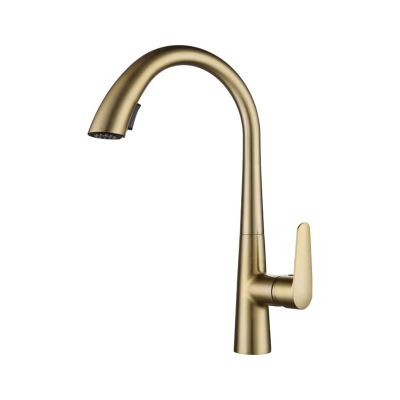 RFXOGTYFZ Chrome 60 cm Pull-Out Kitchen Faucet for Hot and Cold Water, Sink/Basin, Swivel, Retractable, Black, White, Gray (Color: Gold)