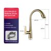 RFXOGTYFZ Chrome 60 cm Pull-Out Kitchen Faucet for Hot and Cold Water, Sink/Basin, Swivel, Retractable, Black, White, Gray (Color: Gold) view 2